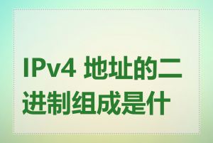 IPv4 地址的二进制组成是什么