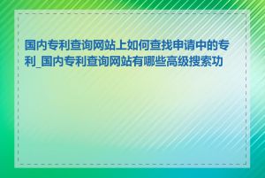 国内专利查询网站上如何查找申请中的专利_国内专利查询网站有哪些高级搜索功能