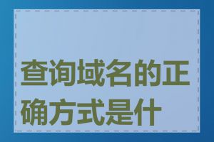 查询域名的正确方式是什么