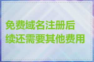 免费域名注册后续还需要其他费用吗