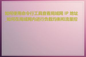 如何使用命令行工具查看局域网 IP 地址_如何在局域网内进行负载均衡和流量控制