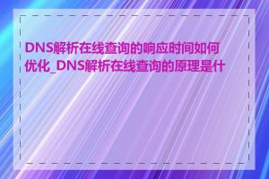 DNS解析在线查询的响应时间如何优化_DNS解析在线查询的原理是什么