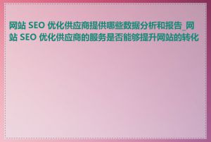 网站 SEO 优化供应商提供哪些数据分析和报告_网站 SEO 优化供应商的服务是否能够提升网站的转化率