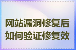 网站漏洞修复后如何验证修复效果