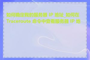 如何确定我的服务器 IP 地址_如何在 Traceroute 命令中查看服务器 IP 地址