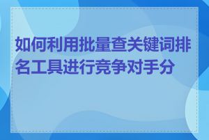 如何利用批量查关键词排名工具进行竞争对手分析