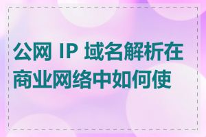 公网 IP 域名解析在商业网络中如何使用