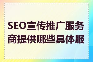 SEO宣传推广服务商提供哪些具体服务