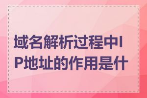 域名解析过程中IP地址的作用是什么