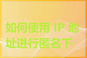 如何使用 IP 地址进行匿名下载