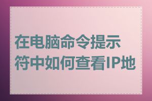 在电脑命令提示符中如何查看IP地址