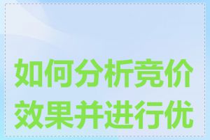 如何分析竞价效果并进行优化