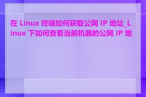 在 Linux 终端如何获取公网 IP 地址_Linux 下如何查看当前机器的公网 IP 地址