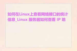 如何在Linux上查看网络接口的统计信息_Linux 服务器如何查看 IP 地址