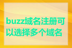 buzz域名注册可以选择多个域名吗