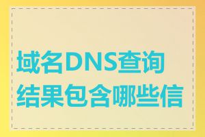 域名DNS查询结果包含哪些信息