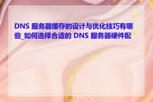 DNS 服务器缓存的设计与优化技巧有哪些_如何选择合适的 DNS 服务器硬件配置