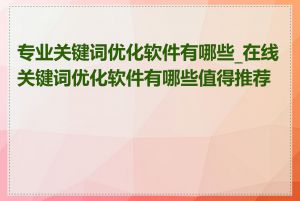 专业关键词优化软件有哪些_在线关键词优化软件有哪些值得推荐的