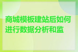 商城模板建站后如何进行数据分析和监控