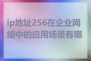 ip地址256在企业网络中的应用场景有哪些