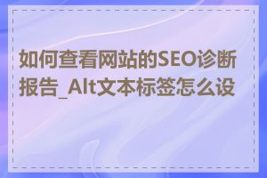 如何查看网站的SEO诊断报告_Alt文本标签怎么设置