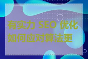 有实力 SEO 优化如何应对算法更新