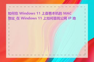 如何在 Windows 11 上查看本机的 MAC 地址_在 Windows 11 上如何查找公网 IP 地址