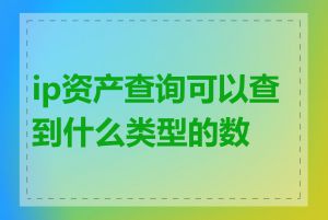 ip资产查询可以查到什么类型的数据