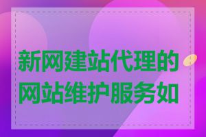 新网建站代理的网站维护服务如何