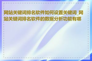 网站关键词排名软件如何设置关键词_网站关键词排名软件的数据分析功能有哪些