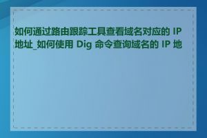 如何通过路由跟踪工具查看域名对应的 IP 地址_如何使用 Dig 命令查询域名的 IP 地址