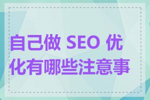 自己做 SEO 优化有哪些注意事项