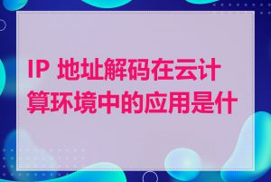 IP 地址解码在云计算环境中的应用是什么