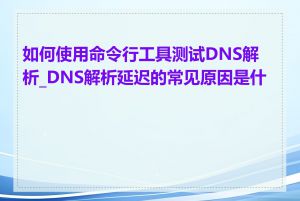 如何使用命令行工具测试DNS解析_DNS解析延迟的常见原因是什么