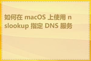 如何在 macOS 上使用 nslookup 指定 DNS 服务器