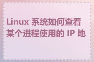 Linux 系统如何查看某个进程使用的 IP 地址