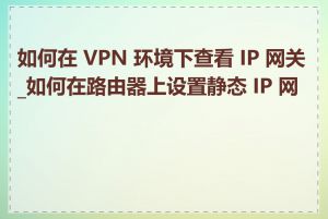 如何在 VPN 环境下查看 IP 网关_如何在路由器上设置静态 IP 网关