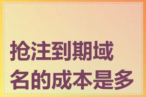 抢注到期域名的成本是多少