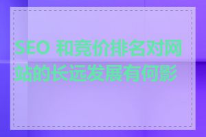 SEO 和竞价排名对网站的长远发展有何影响