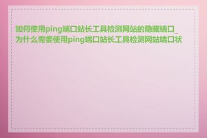 如何使用ping端口站长工具检测网站的隐藏端口_为什么需要使用ping端口站长工具检测网站端口状态