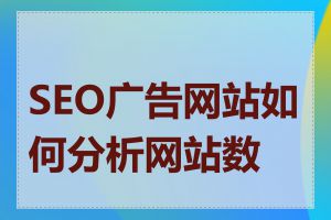 SEO广告网站如何分析网站数据