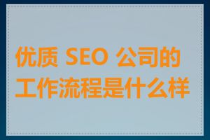 优质 SEO 公司的工作流程是什么样的