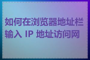 如何在浏览器地址栏输入 IP 地址访问网站