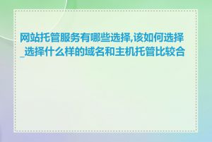 网站托管服务有哪些选择,该如何选择_选择什么样的域名和主机托管比较合适