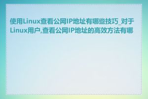 使用Linux查看公网IP地址有哪些技巧_对于Linux用户,查看公网IP地址的高效方法有哪些