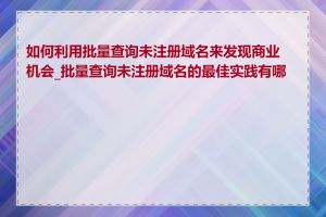 如何利用批量查询未注册域名来发现商业机会_批量查询未注册域名的最佳实践有哪些