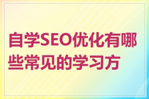 自学SEO优化有哪些常见的学习方式