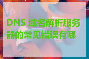 DNS 域名解析服务器的常见错误有哪些