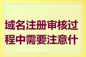 域名注册审核过程中需要注意什么