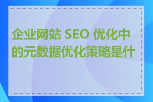 企业网站 SEO 优化中的元数据优化策略是什么